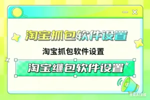 淘宝抓包软件下载-淘宝911