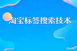 淘宝标签搜索技术-淘宝911