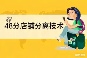 淘宝48分店铺分离技术-淘宝911
