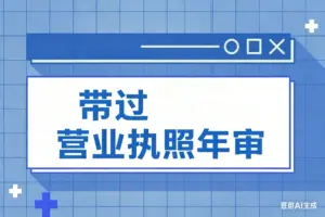 带过 营业执照年审-淘宝911