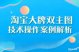 淘宝大牌双主图技术操作案例解析-淘宝911