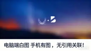 电脑端白图 手机有图，无引用关联！最新代码技术-淘宝911