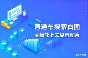 直通车搜索白图，鼠标放上去显示图片-淘宝911
