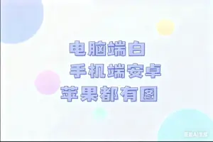 最新电脑端白 手机端安卓苹果都有图-淘宝911