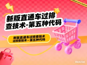 新版直通车过排查技术-第五种代码-会员免费下载-淘宝911