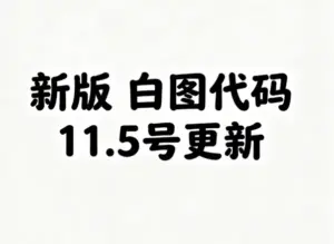 新版 白图代码 11.5号更新-淘宝911