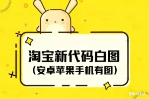 完美版 颜色分类代码白图-淘宝911