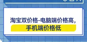 淘宝双价格-淘宝911